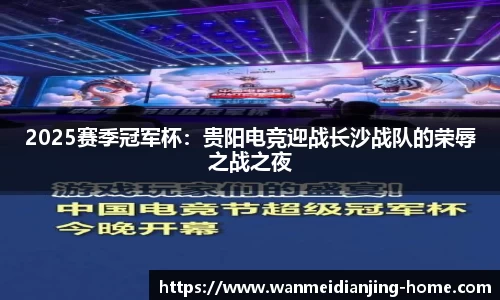 2025赛季冠军杯：贵阳电竞迎战长沙战队的荣辱之战之夜