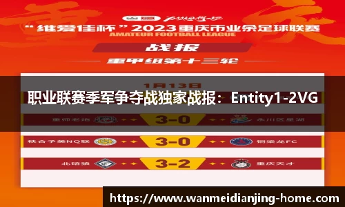 职业联赛季军争夺战独家战报：Entity1-2VG